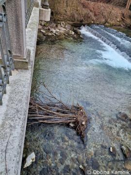 Odstranitev podrtega in poškodovanega drevja iz Nevljice in sotočja Kamniške Bistrice (5)